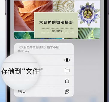 丹巴apple维修中心分享iPhone文件应用中存储和找到下载文件