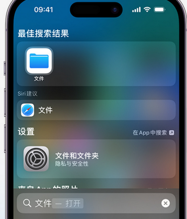 丹巴apple维修中心分享iPhone文件应用中存储和找到下载文件