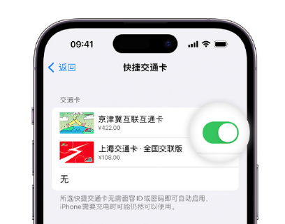 丹巴apple维修点分享iPhone上更换Apple Pay快捷交通卡手绘卡面 