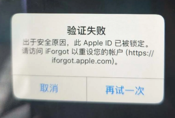 丹巴iPhone维修分享iPhone上正常登录或使用AppleID怎么办 