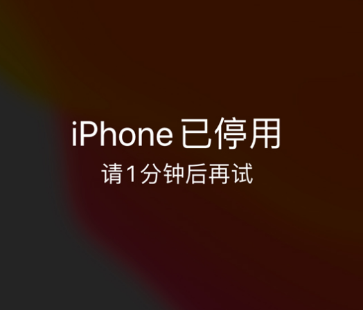 丹巴苹果手机维修分享:iPhone 显示“不可用”或“已停用”怎么办？还能保留数据吗？ 