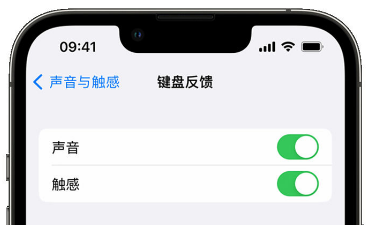 丹巴苹果手机维修分享iPhone 14触感键盘使用方法 