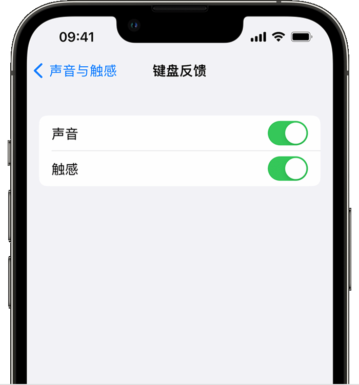 丹巴苹果14维修店分享如何在 iPhone 14 机型中使用触感键盘 