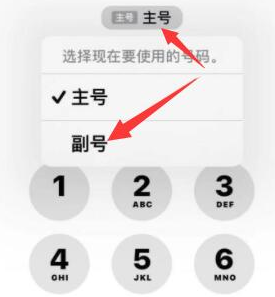 丹巴苹果14维修店分享iPhone 14 Pro Max使用副卡打电话的方法 