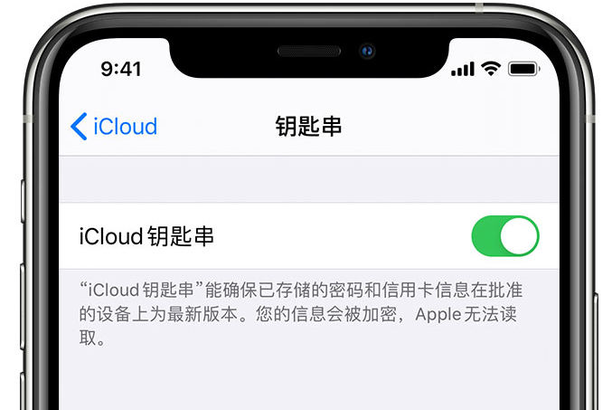 丹巴苹果手机维修分享在 iPhone 上开启 iCloud 钥匙串之后会储存哪些信息 