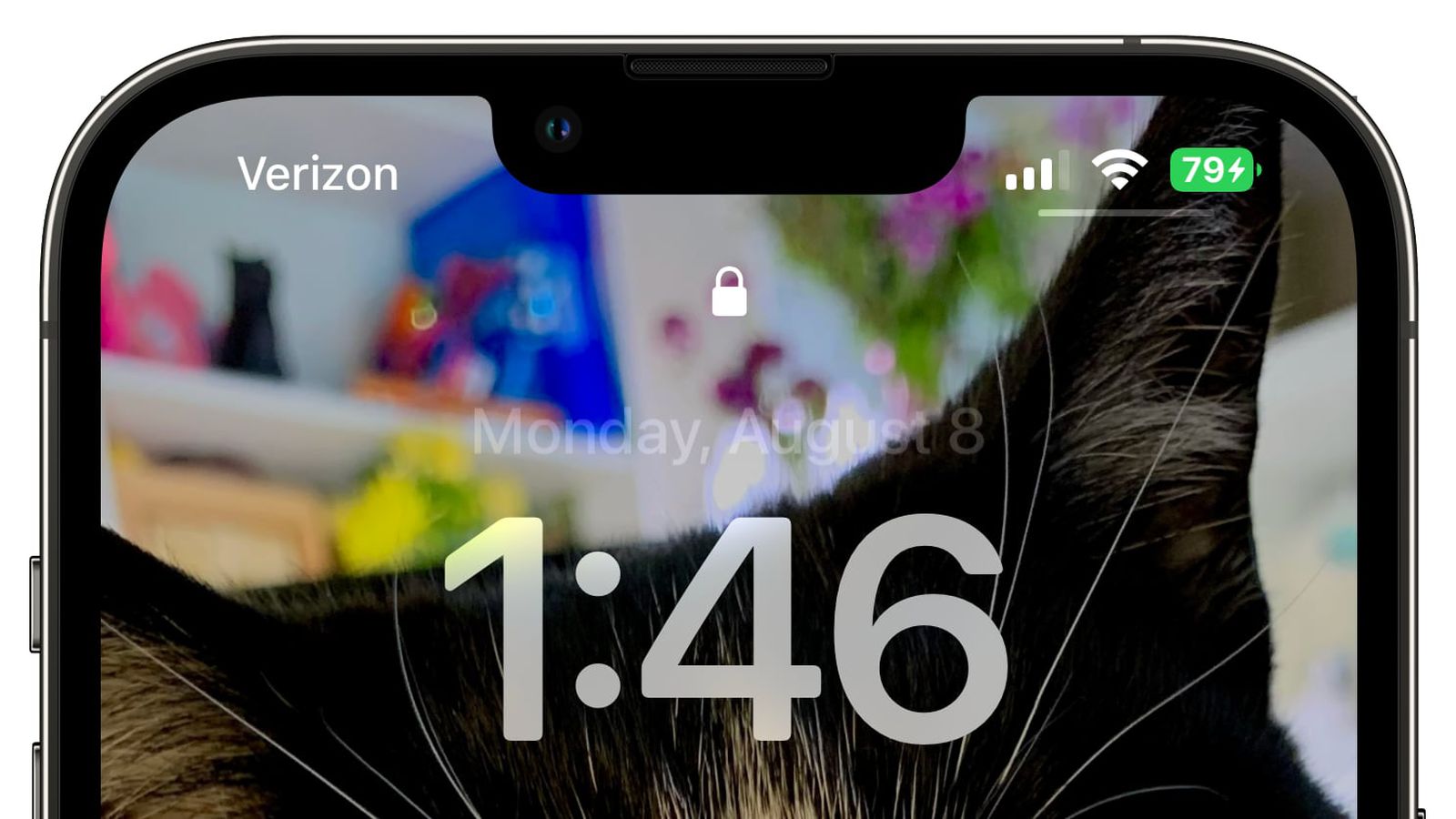 丹巴苹果手机维修分享iOS 16 beta 5 支持状态栏显示电池百分比，如何开启？支持哪些机型 
