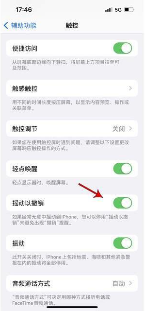 丹巴苹果手机维修分享iPhone手机如何设置摇一摇删除文字 