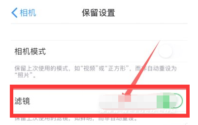 丹巴苹果13维修分享iPhone13拍照有绿点是怎么回事 