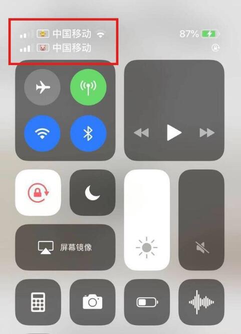 丹巴苹果手机维修分享为 iPhone 12 双卡设置标签 